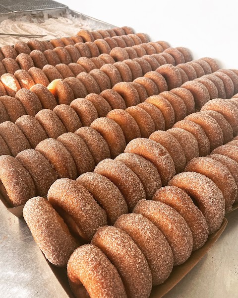 Donuts at Donutjam, Wollongong