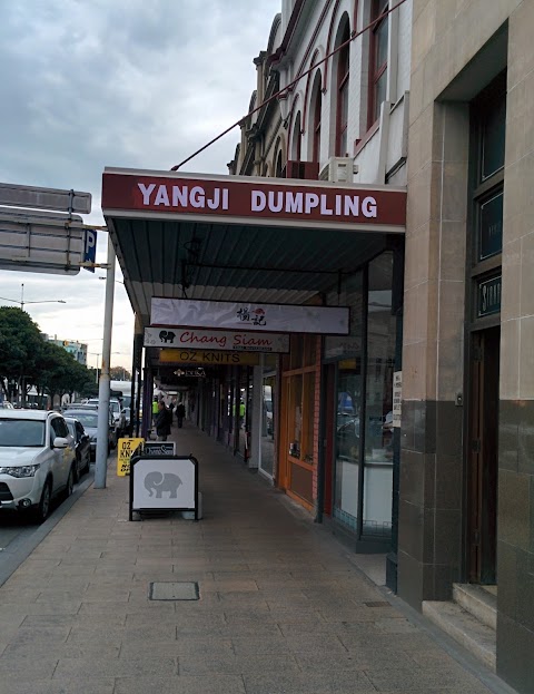 Dumplings at YangJi Dumpling, Geelong