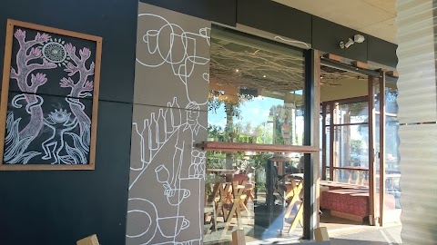 Coffee at Café Troppo, Adelaide