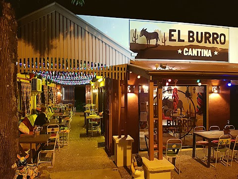 Tacos at El Burro Cantina, Gold Coast