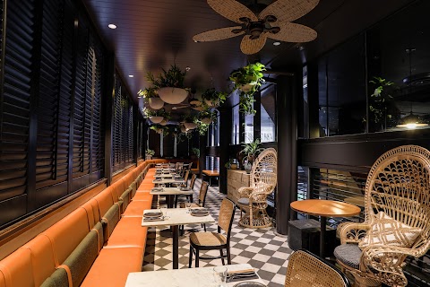 Photo: Wilma via Google Dumplings at Wilma, Canberra