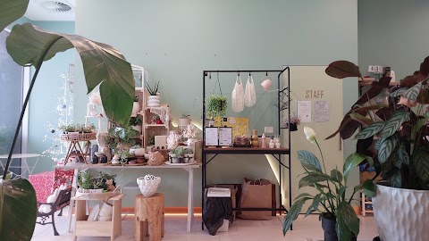 Bubble Tea at Corner Drinks, Canberra
