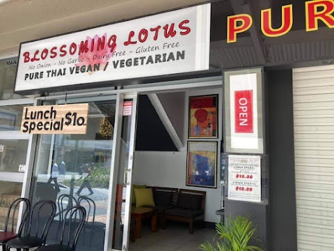 Laksa at Blossoming Lotus, Gold Coast
