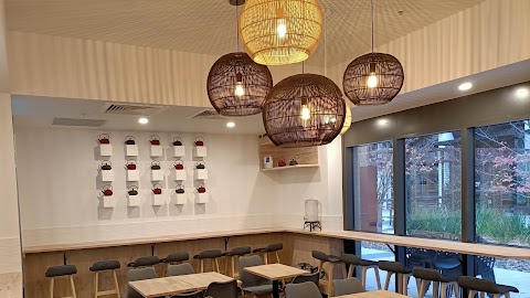 Ramen at Ramen O Canberra CBD, Canberra