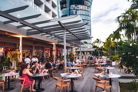 Dumplings at Paper Crane by Crystalbrook, Cairns