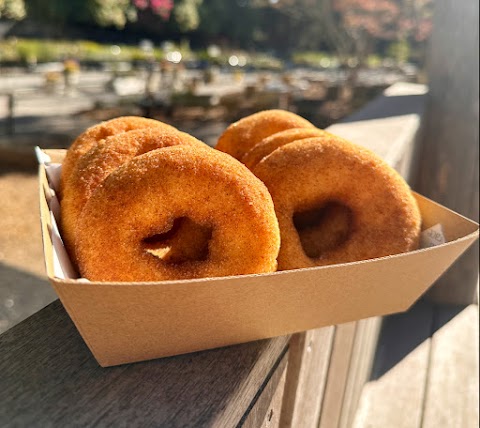 Donuts at Robbo Donut Van, Wollongong