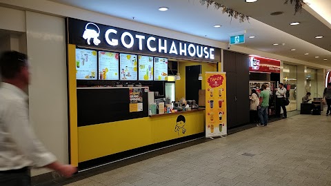Bubble Tea at Gotcha House Cat and Fiddle, Hobart